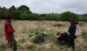 Conservation Apprentices