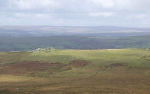 New Survey of Rippon Tor PAL