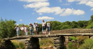 Postbridge Clapper Bridge Thumb