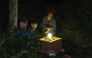 Moth trapping as part of the Barbastelle bat project