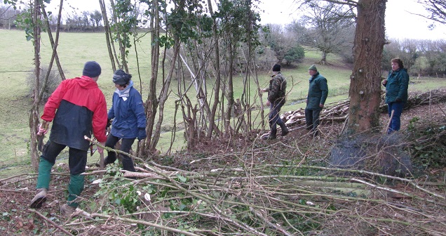 Hedge Laying Training