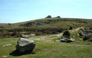 Welcome to Widecombe project takes shape
