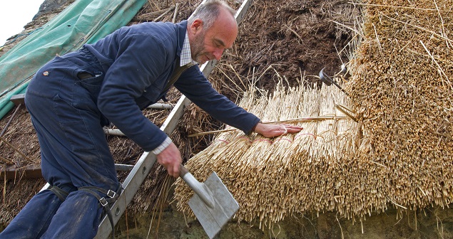 Higher Uppacott Thatching