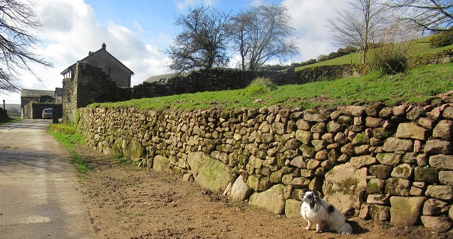 Challacombe Wall