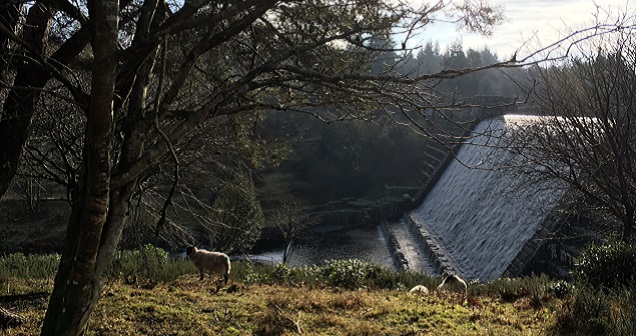 Fernworthy Dam