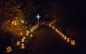 Walking in the woods at the lantern walk