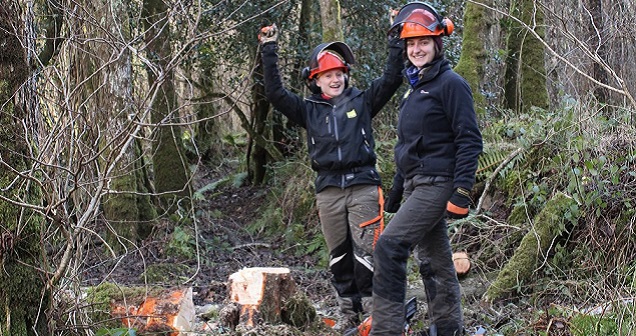 EcoSkills Chainsaw