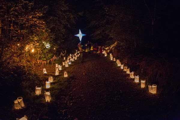 walking through the woods on the lantern walk