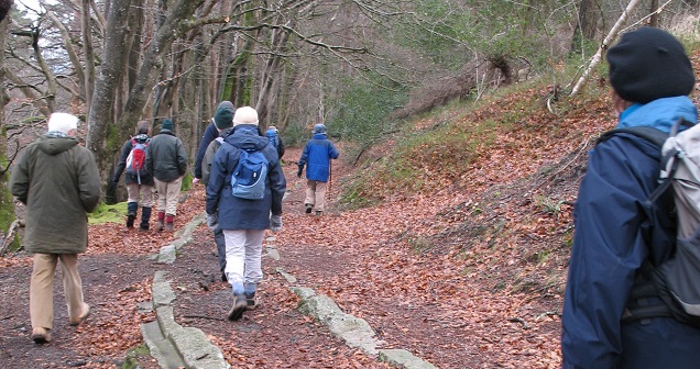 Granite Tramway Walk 2