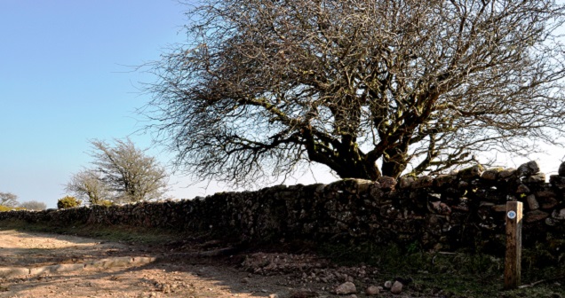 Bel Tor Driftway