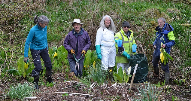 Invasive Volunteers