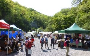 Looking around the Woodland Festival