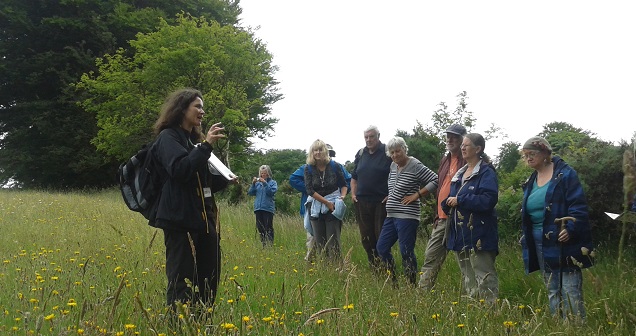 Haymeadows Walk